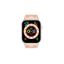 Carneo Ventura HR+ Cellular 4G Gold
