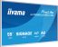 iiyama 55