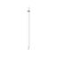 Apple Pencil (1st Generation) (2022) White