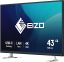 Eizo 42,5