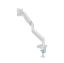 Gembird Full-motion desk display mounting arm 17”-32” White