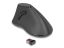 DeLock Ergonomic Wireless Vertical Silent Mouse Black