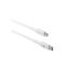 dbramante1928 re-charge USB cable USB-C (M) to Lightning (M) 2m White