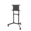 Neomounts NS-M1250BLACK Floor Stand 37