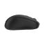 INCA IWM-300RG Wireless mouse Grey