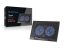 Conceptronic  THANA02B 2-Fan Laptop Cooling Pad Black