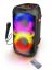 Esperanza Singer Bluetooth RGB Karaoke Speaker Black