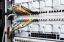 Digitus CAT6 U-UTP Patch Cable 0,3m Green
