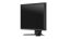 Eizo 21,3
