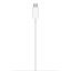 Apple MagSafe (MHXH3ZM/A)