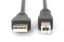 Assmann USB 2.0 connection cable, type A - B