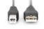 Assmann USB connection cable, type A - B