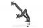 Digitus Universal Dual Monitor Mount with Gas Spring and Clamp Mount