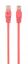 Gembird CAT5e U-UTP Patch Cable 0,5m Pink
