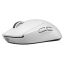 Logitech G PRO X Superlight Wireless Mouse White