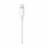 Apple Lightning to USB Cable (1 m)