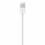Apple Lightning to USB Cable (1 m)
